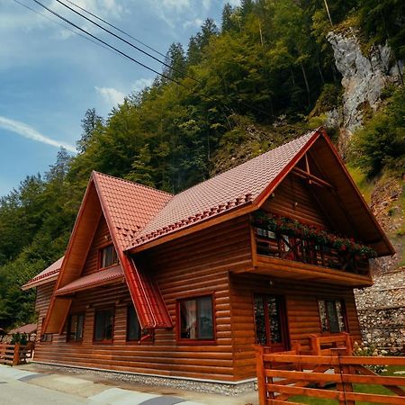 Casa Cheile Dambovicioarei - Cabana 2 Dîmbovicioara 外观 照片